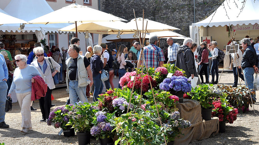 Herbstzauber in Laubach lockt Besucher
