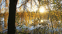 Leserfotos der Woche