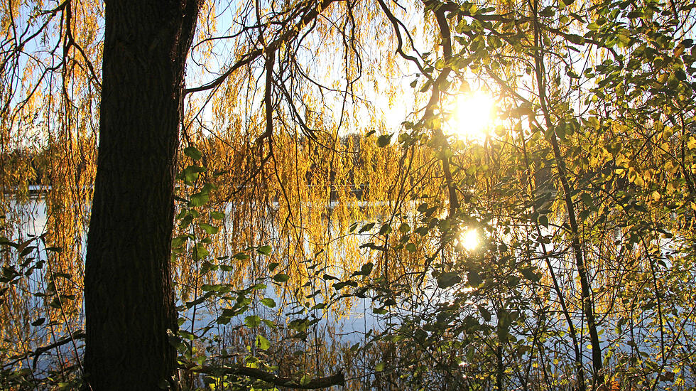 Leserfotos der Woche
