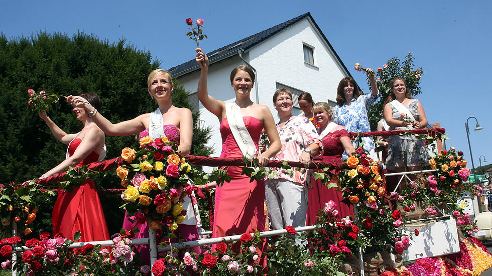 Rosenkorso in Steinfurth