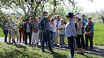 Kirschblütenwanderung Ockstadt