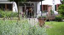 Der Streifzug zu Besuch im Landhotel Waldhaus in Laubach