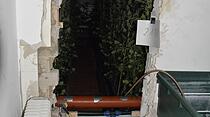 Cannabis-Plantage in Bad Vilbel