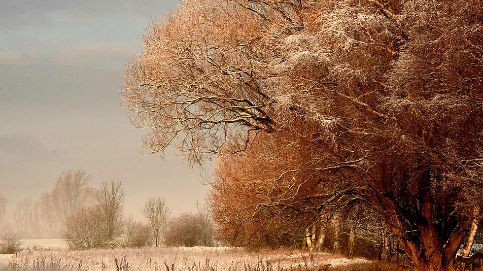 So war der Schnee-Advent in Hessen