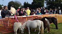 Tierschau beim Bad Vilbeler Markt