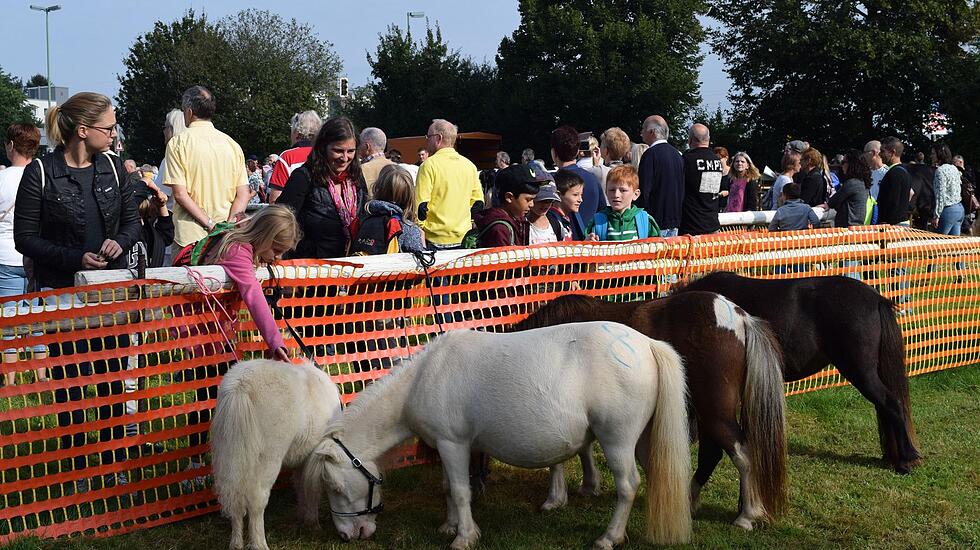 Tierschau beim Bad Vilbeler Markt