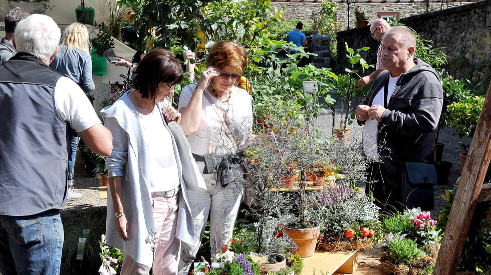 Herbstzauber in Laubach lockt Besucher