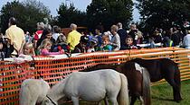 Tierschau beim Bad Vilbeler Markt