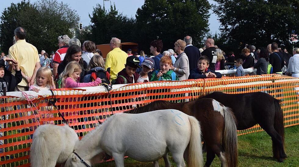 Tierschau beim Bad Vilbeler Markt