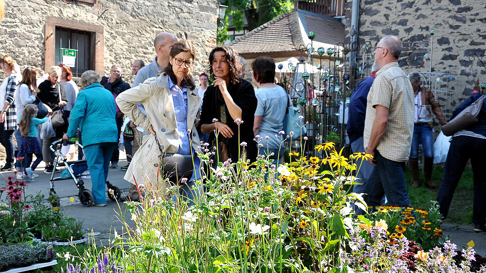 Herbstzauber in Laubach lockt Besucher