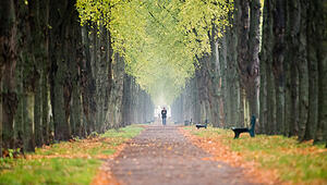 Herbst in Niedersachsen