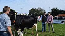 Tierschau beim Bad Vilbeler Markt