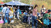 Drachenfest zwischen Friedberg und Bad Nauheim