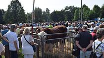 Tierschau beim Bad Vilbeler Markt