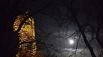 Leserfotos der Woche