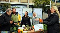 Markt Region
