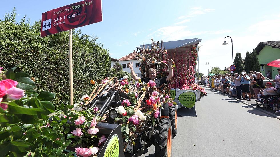 Rosenkorso in Steinfurth