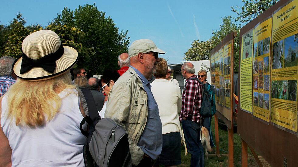 Kirschblütenwanderung des Obst- und Gartenbauvereins im Kirschenberg Ockstadt
