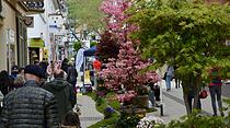 Kunst- und Gartenmarkt in Bad Nauheim