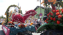 Rosenkorso in Steinfurth