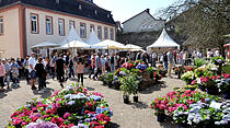 Herbstzauber in Laubach lockt Besucher