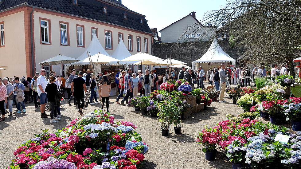 Herbstzauber in Laubach lockt Besucher