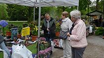 Kunst- und Gartenmarkt in Bad Nauheim