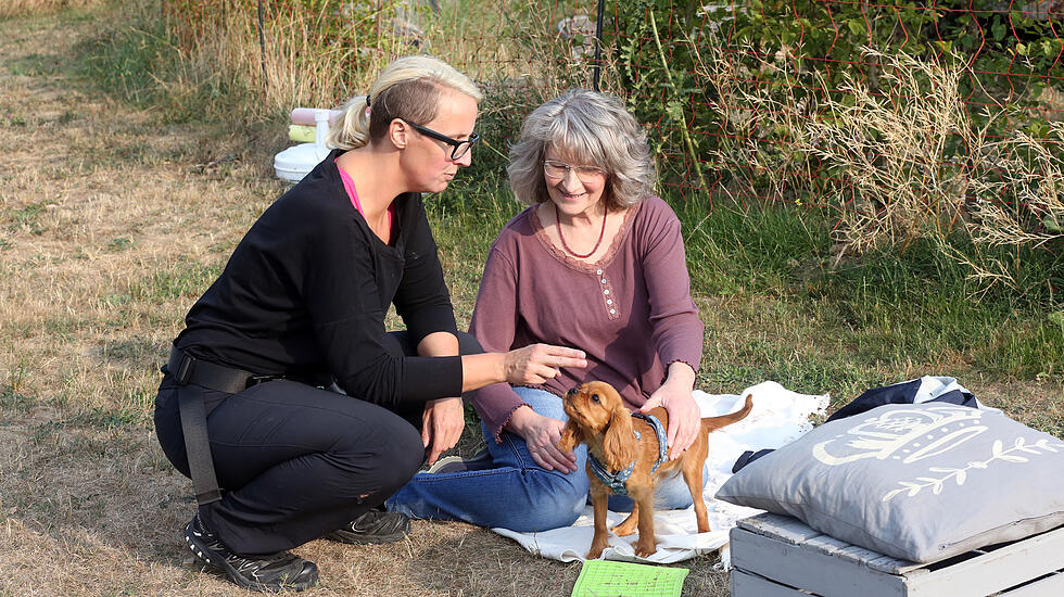 Hundeschule Butzbach