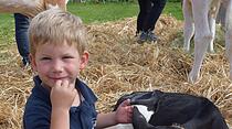 Tierschau beim Bad Vilbeler Markt