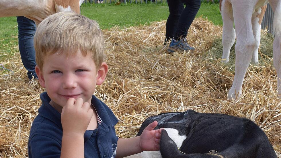 Tierschau beim Bad Vilbeler Markt