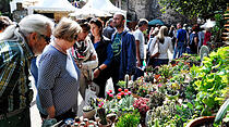 Herbstzauber in Laubach lockt Besucher