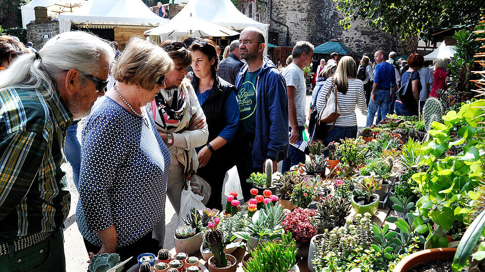Herbstzauber in Laubach lockt Besucher