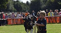 Tierschau beim Bad Vilbeler Markt