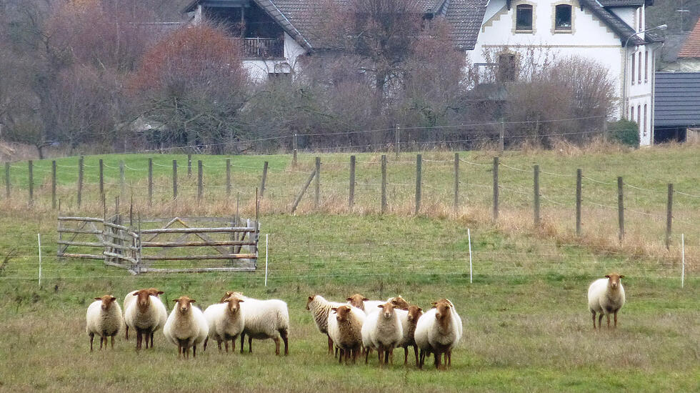 Leserfotos: Es ist kalt geworden
