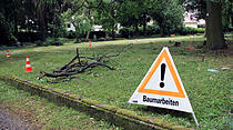 Baumarbeiten Alter Friedhof Gießen