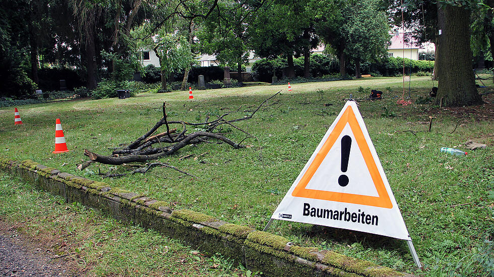 Baumarbeiten Alter Friedhof Gießen