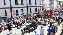 Rosenkorso in Steinfurth