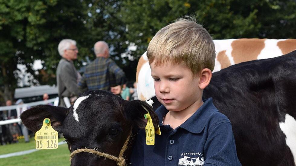 Tierschau beim Bad Vilbeler Markt