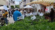 Kunst- und Gartenmarkt in Bad Nauheim