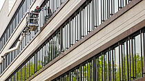 Oliver Schepps Foto der Woche