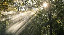 Wasser und Licht